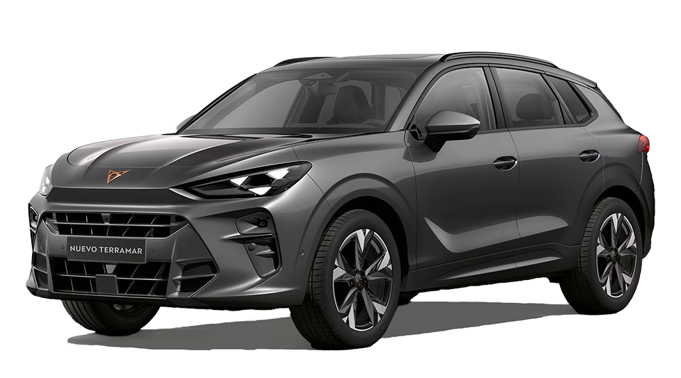 Modelo-CotiRapida-TERRAMAR